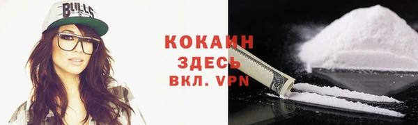 шишки Балахна