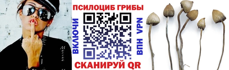 Купить закладки  Называевск  Псилоцибиновые грибы Psilocybe 